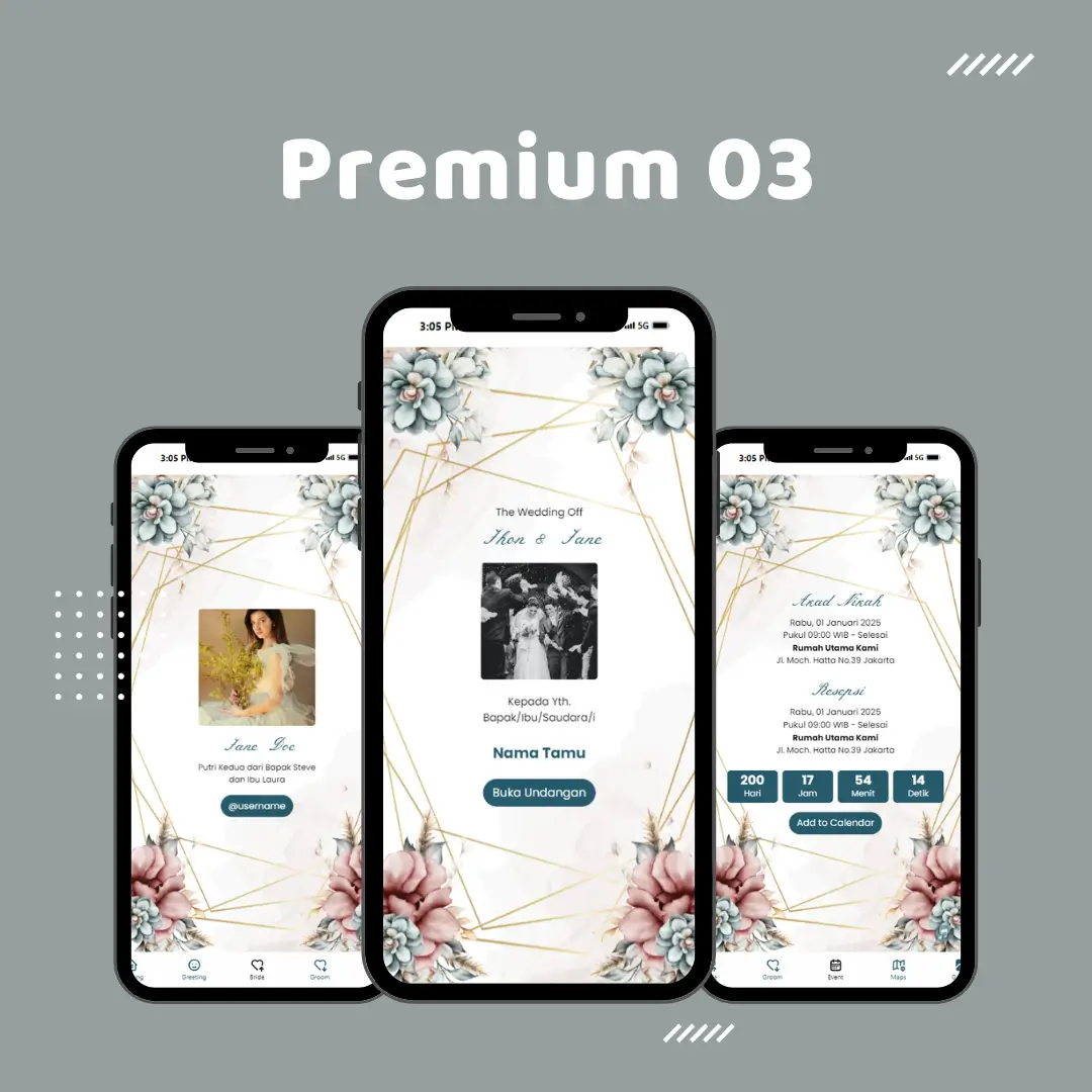 Tema Premium 03